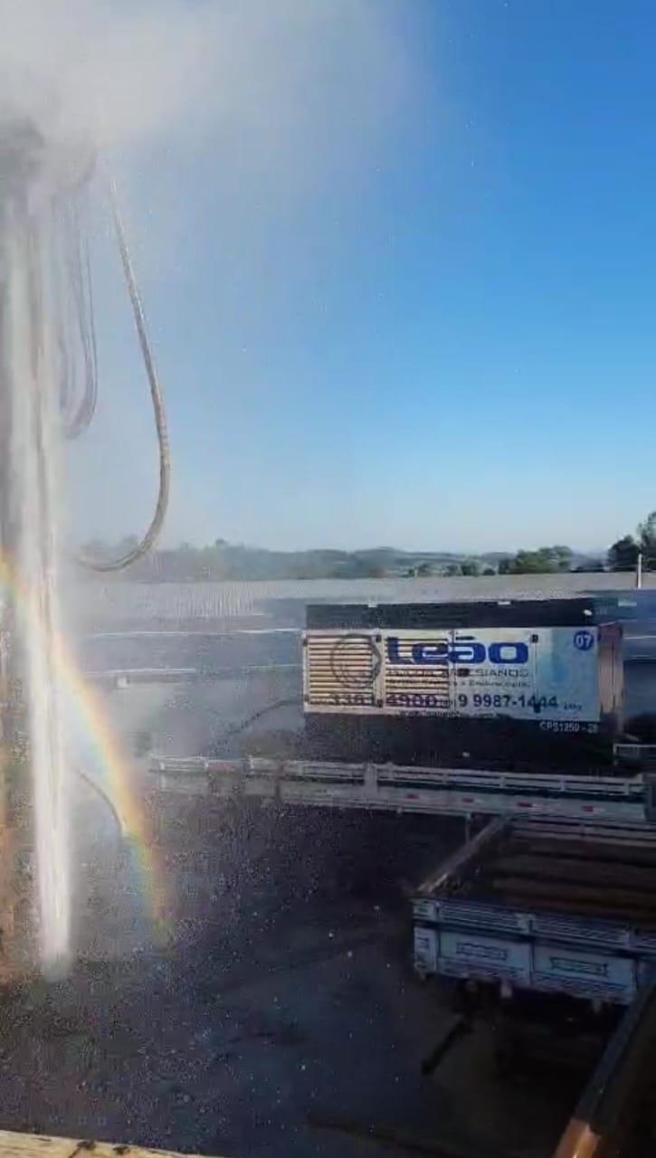Imagem de Leão