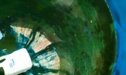 LIMPEZA E HIGIENIZAÇÃO DE RESERVATÓRIOS!!! LIMPEZA E HIGIENIZAÇÃO DE RESERVATÓRIOS!!!